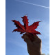 esdoorn blad