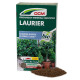 dcm laurier