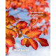 Parrotia persica ‘Vanessa’ kopen | Vinkbomen