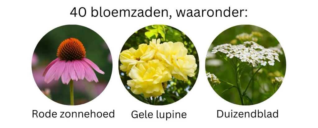 dcm bloemenmengsel bijen