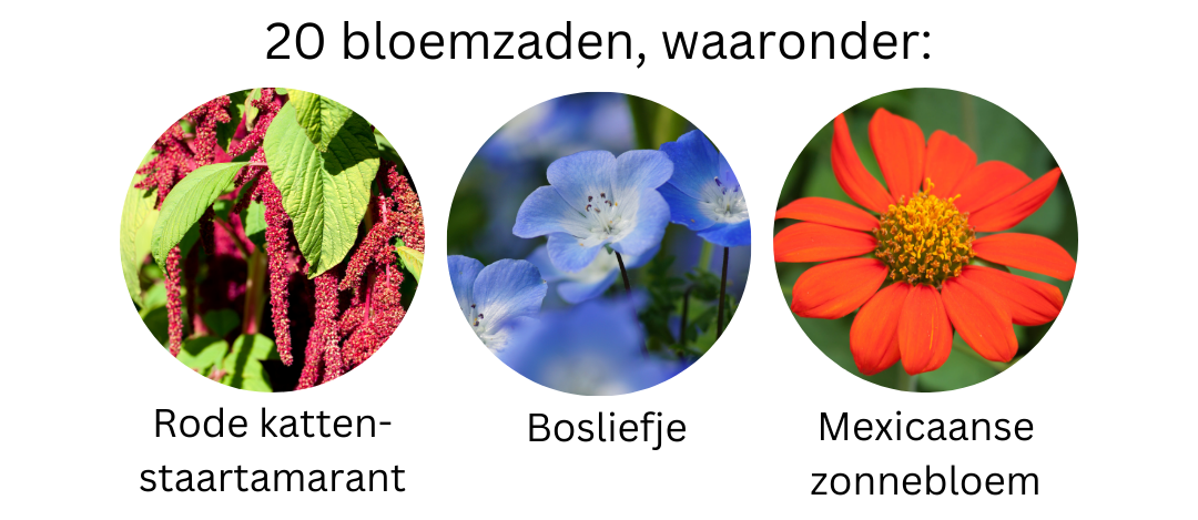 dcm bloemenmengsel tuinvogels