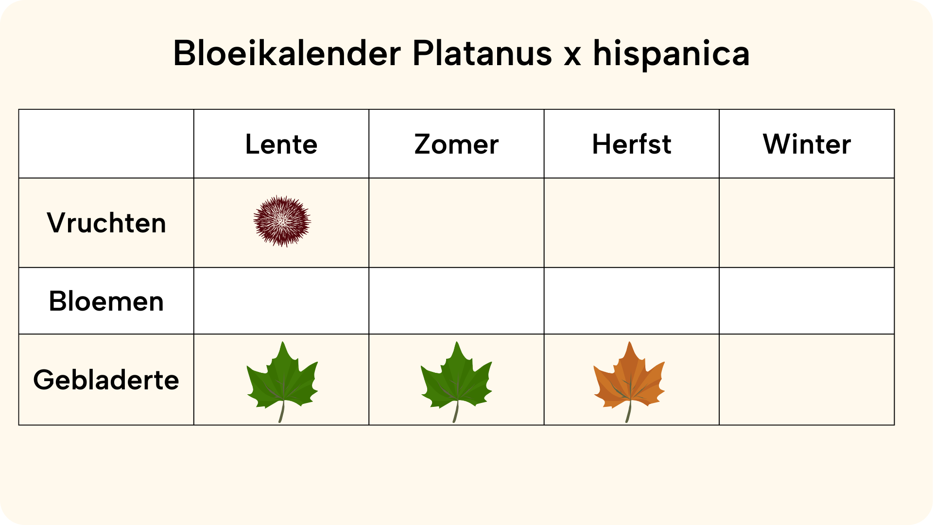 bloeikalender