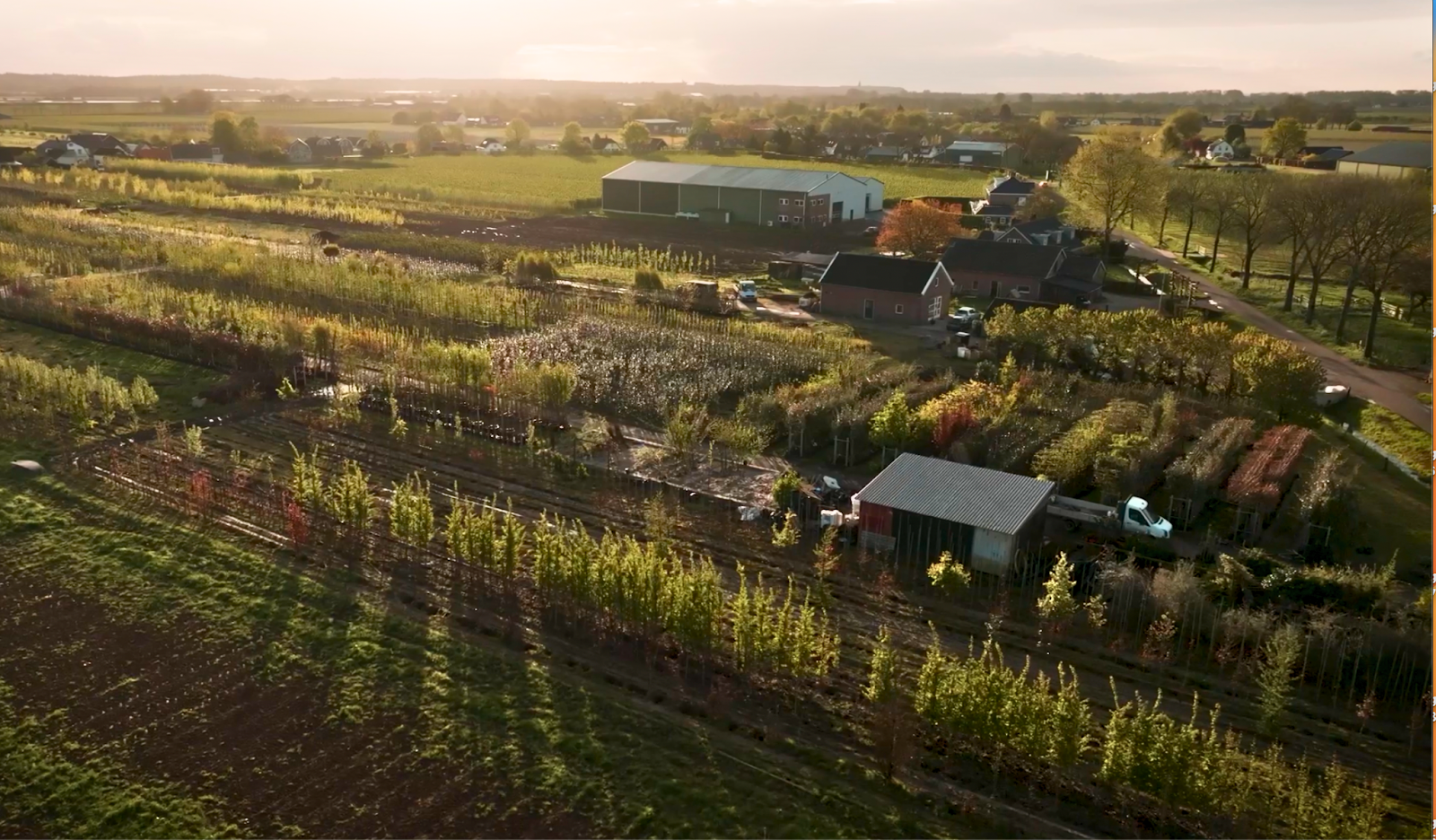 over ons vinkbomen